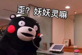 汉中债务清欠服务